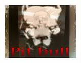 pitmaster.jpg image by master79